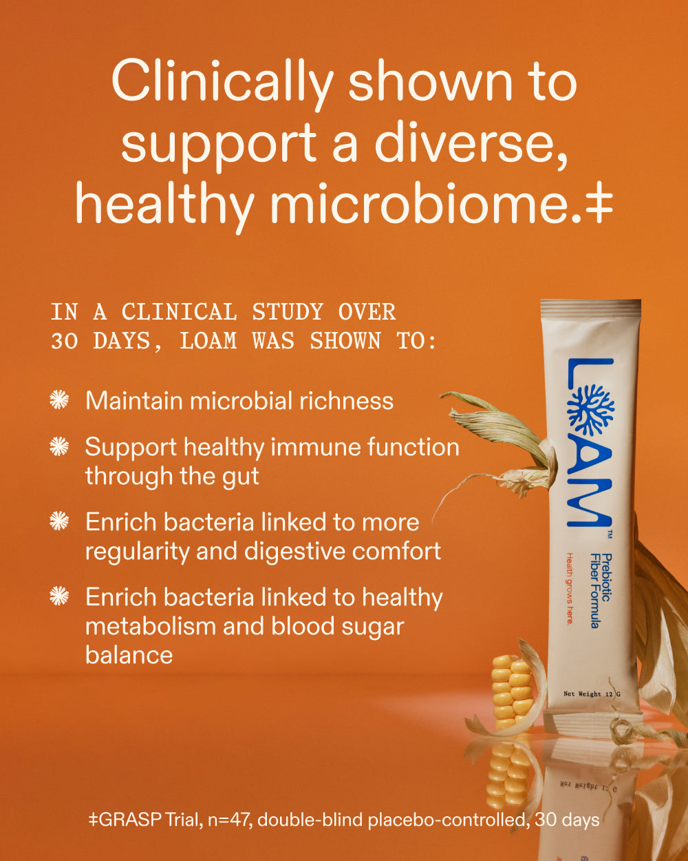 LOAM Prebiotic Fiber Formula