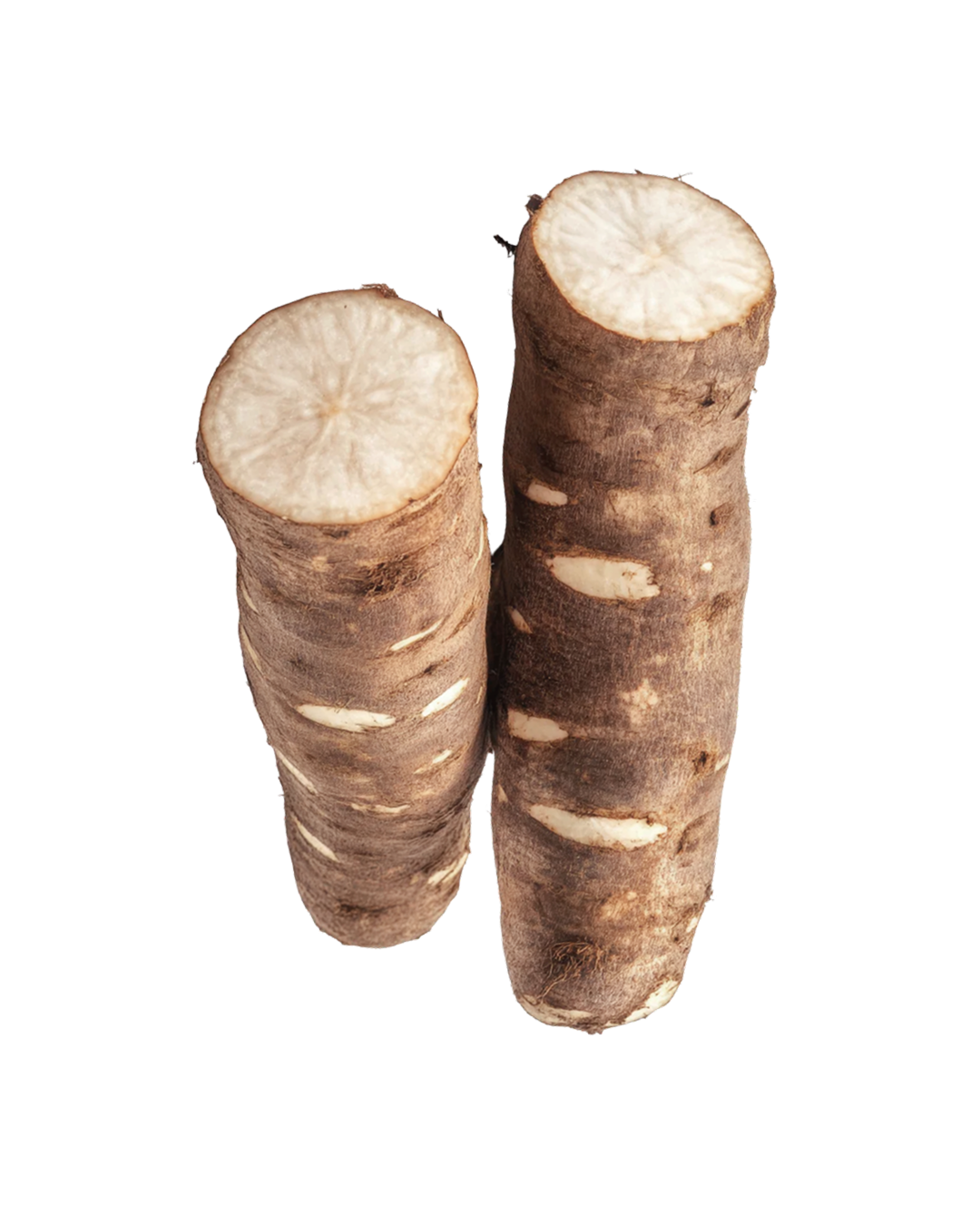Cassava