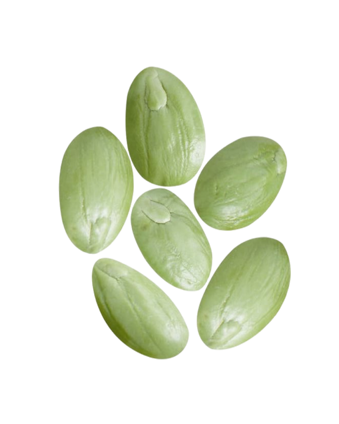 Guar bean