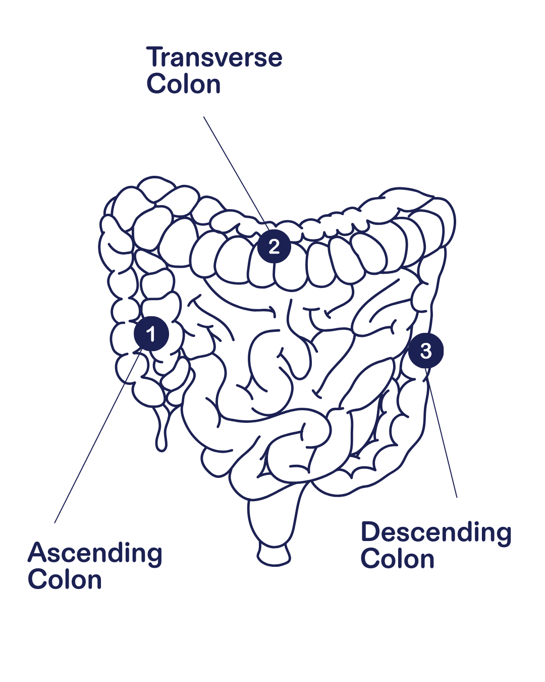 LOAM prebiotic system