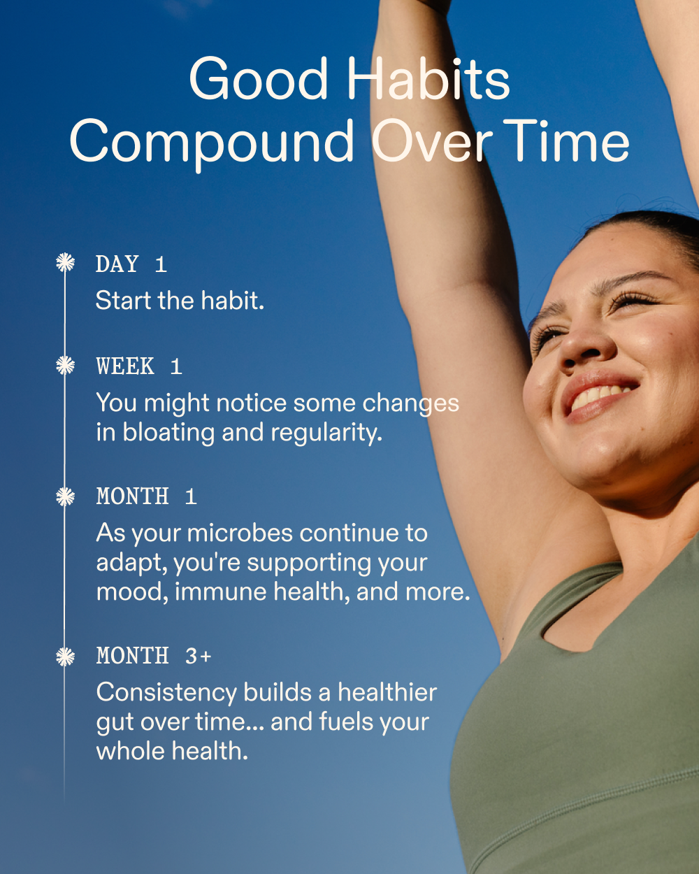 LOAM Prebiotic Fiber Formula (Wheat-Free)